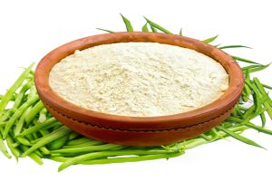 Guar Gum Powder Market